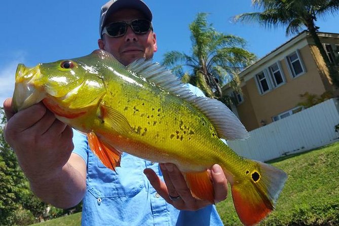 peacock-bass-fishing-trip-near-palm-beach-overview-of-the-fishing-trip