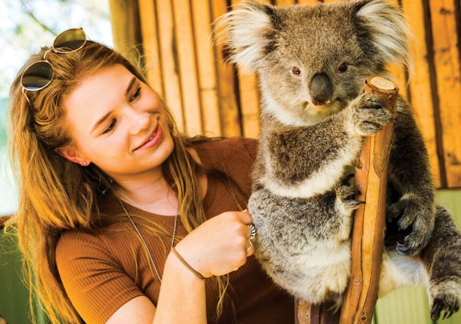 Pearcedale: Moonlit Sanctuary Conservation Park Entry Ticket - Ticket Details and Pricing