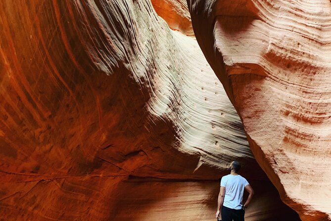 Peekaboo Slot Canyon + Great Chamber Loop - UTV Tour