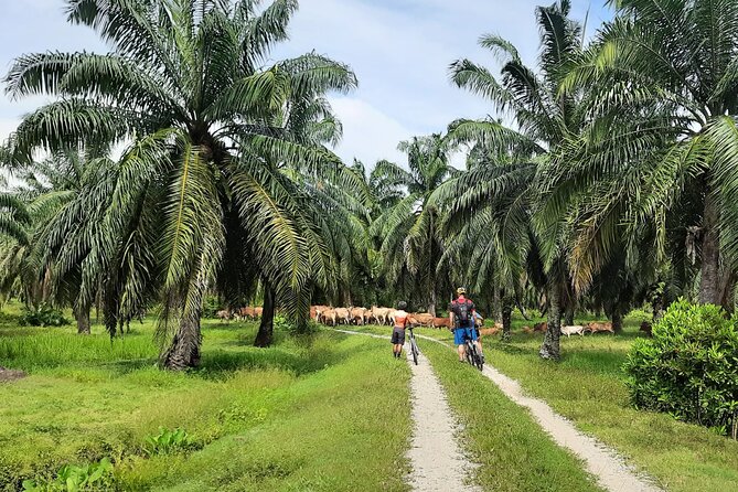 Penang Countryside Small Group Cycling Tour by Matahari - Inclusions