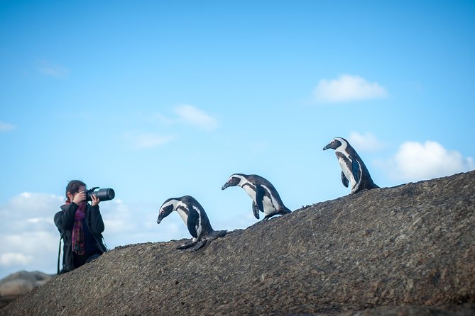 10 Best Photography Experiences In Cape Town