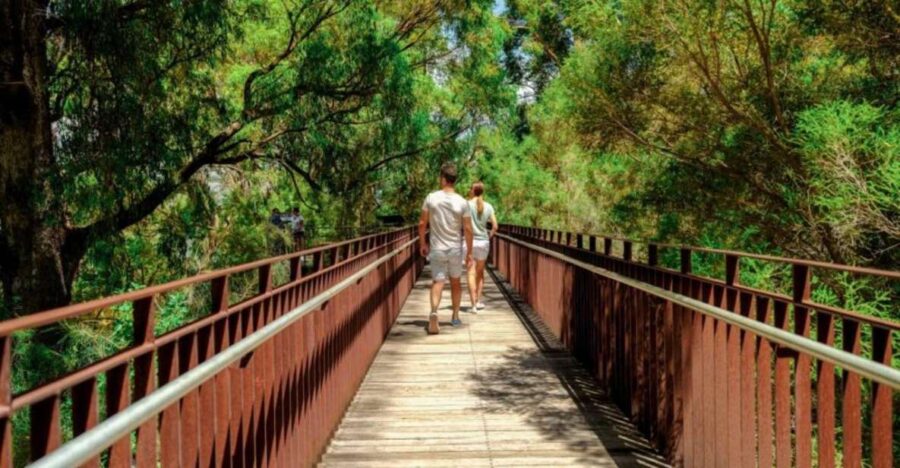 Perth: Kings Park Botanicals & Beyond Guided Hike - Activity Overview