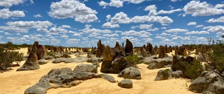 Perth: Pinnacles Desert Bush Walk Guided Tour With Lunch