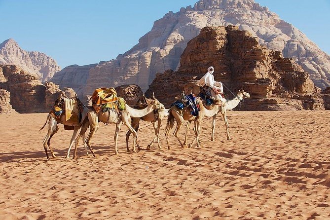 Petra and Wadi Rum Day Trip From Amman
