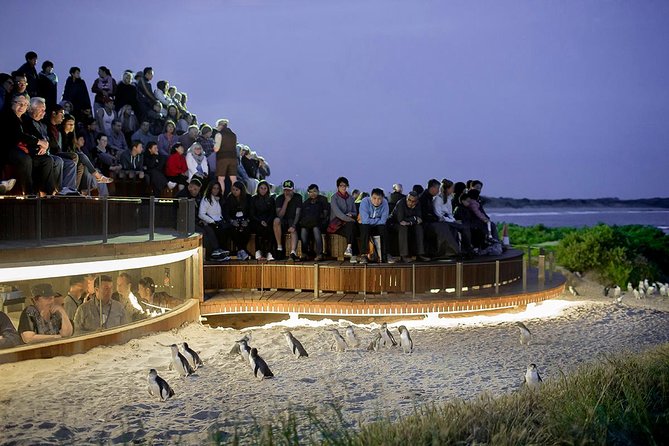 Phillip Island and French Island Wildlife Expedition - Tour Overview and Highlights
