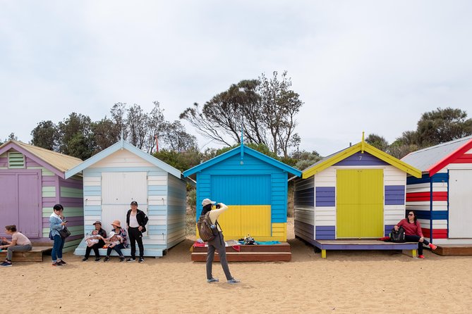 Phillip Island Penguin, Brighton Beach, Moonlit Sanctuary From Melbourne - Brighton Beach Highlights