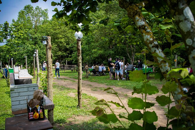 picnic-area-with-barbecue-equipment-in-capranica-vt-location-and-description