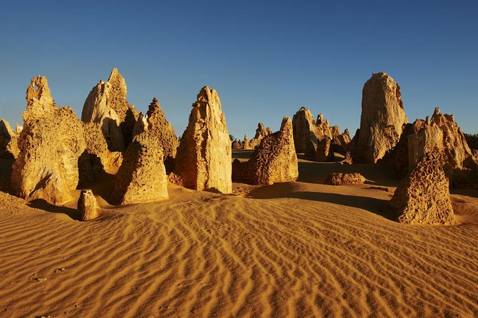 Pinnacles Day Trip From Perth Including Yanchep National Park - Tour Overview