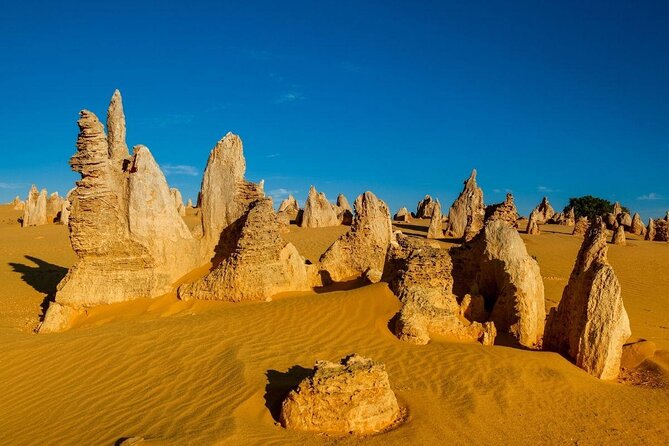 Pinnacles Desert Private Day Tour