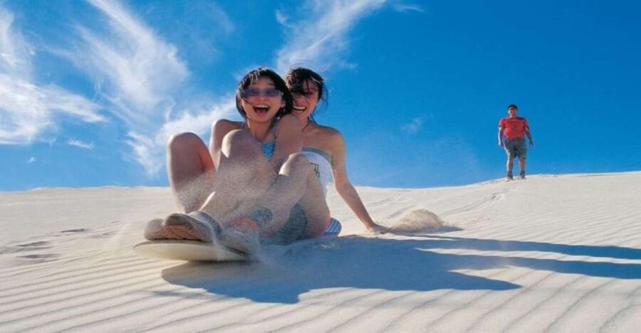 Pinnacles, Koalas & Sandboarding Tour Day Trip From Perth - Tour Overview