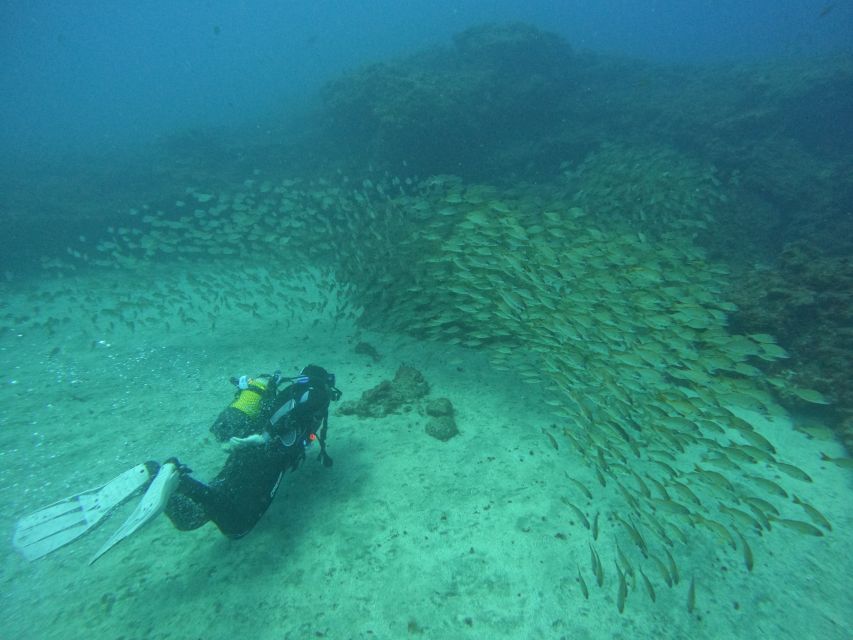 playa-del-ingles-discover-scuba-diving-free-transfers-overview-of-the-experience