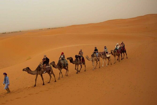 Pleasant Non-Touristic Overnight Camel Safari (From 2:00 PM to Approx. 10:30AM) - Overview of the Safari