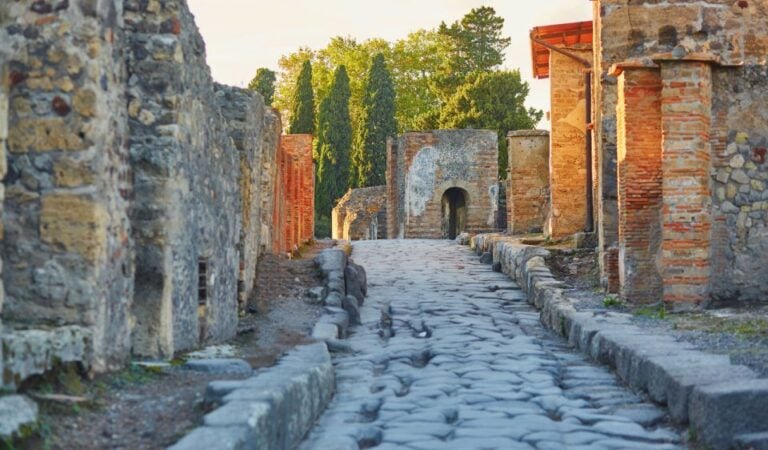 pompeii-and-vesuvius-8-hour-tour-from-sorrento-tour-overview