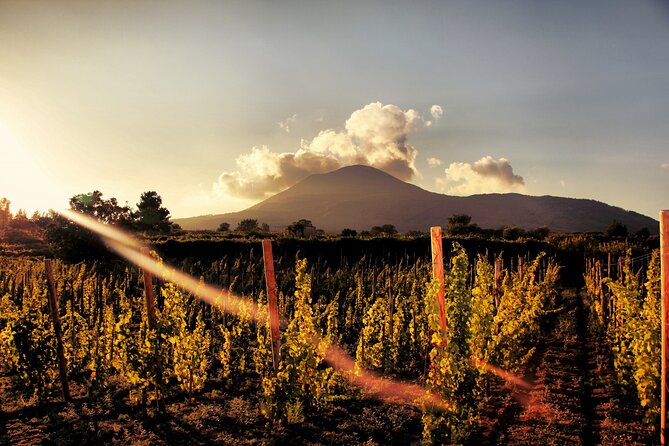 Pompeii With Wine Tasting and Lunch From Naples
