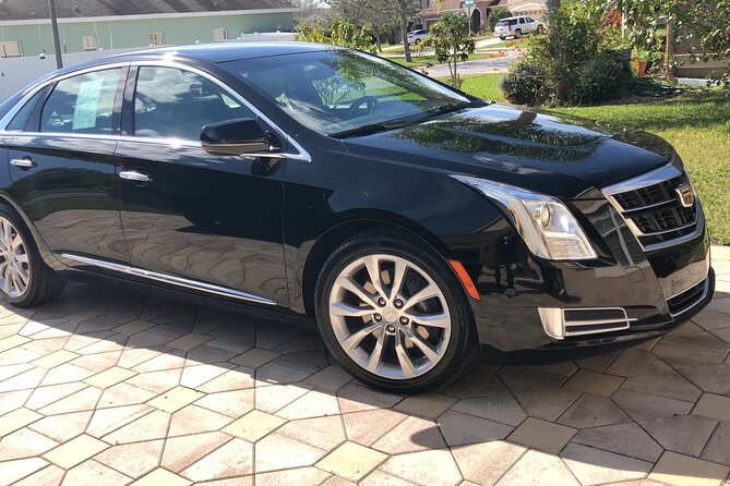 Port Canaveral to Orlando Airport MCO Luxury Sedan - Overview