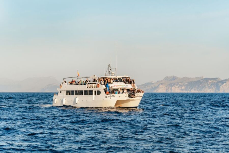 Port Dalcudia: Sunrise at Sea & Dolphin Watching Boat Tour