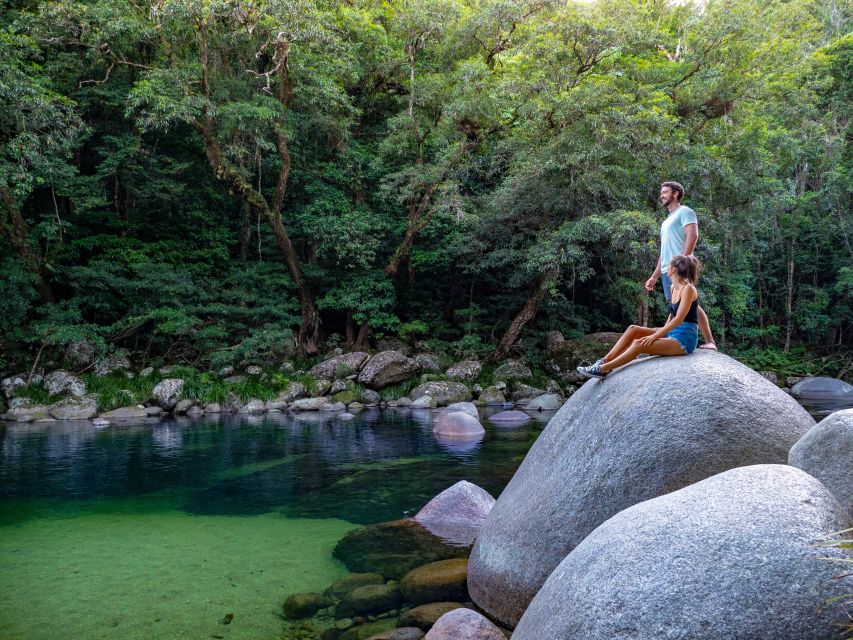 Port Douglas: Daintree Rainforest and Mossman Gorge Tour - Small Group Tour Experience