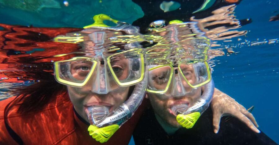 port-of-mogan-snorkel-tour-with-boat-on-the-west-coast-tour-overview