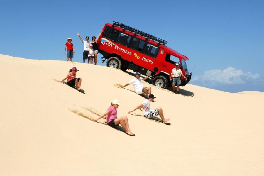 2 Best Dolphin Watching Tours In New South Wales