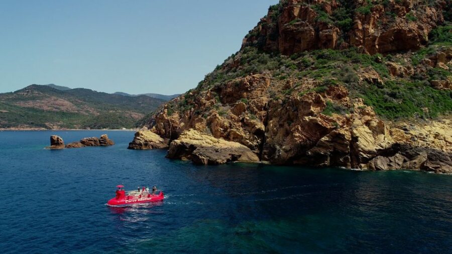 porto-discovery-of-the-marine-fauna-and-flora-bay-of-porto-overview-of-the-tour