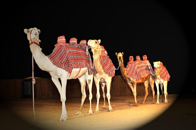 premium-desert-safari-live-bbq-dinner-sandboarding-camel-ride-private-car-dune-bashing-experience