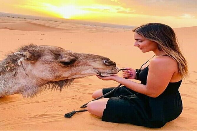 Private 4x4 For Sundowner Desert Safari - Tour Details