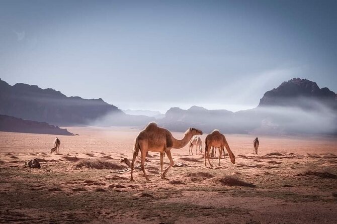 Private 5-Day Tour in Jodan - Included Tickets and Entrance Fees
