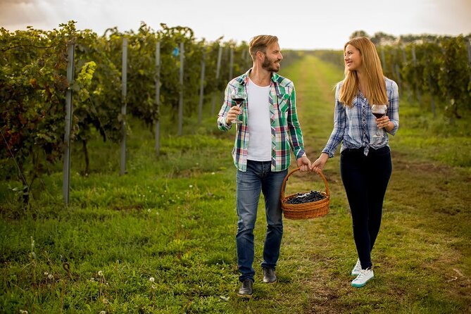 Private 5 Hour Wine Tour in Niagara-On-The-Lake With Cheese & Charcuterie - Tour Overview