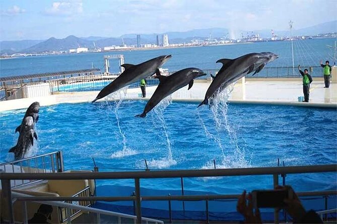 private-6-persons-chartered-bus-in-fukuoka-activity-details