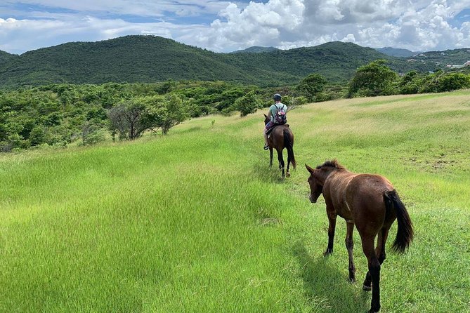 Private Advanced Horseback Beach Ride With Sandy Hoofs St. Lucia - Detailed Tour Information