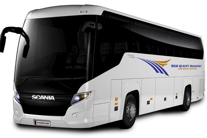 Private Airport Transfers, Taxis and Shuttles to Hotels in Dominican Republic - Overview of the Service