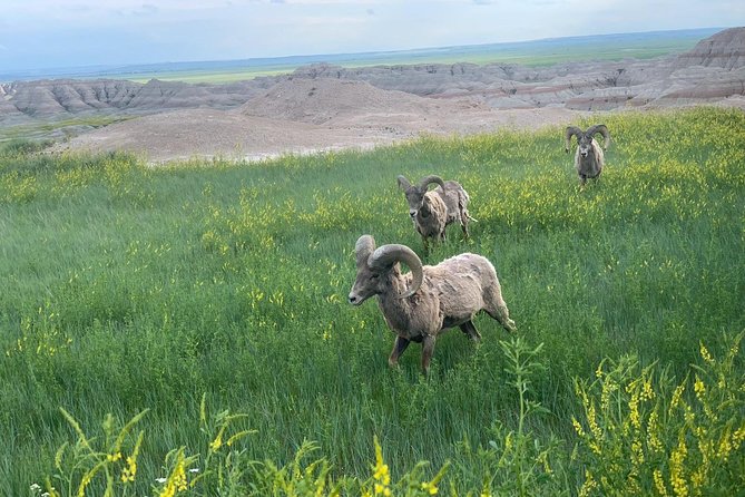Private Badlands National Park Day Tour