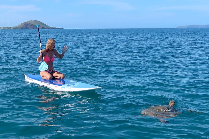 Private Beginner Paddleboard Lesson With Snorkel in Turtle Town!