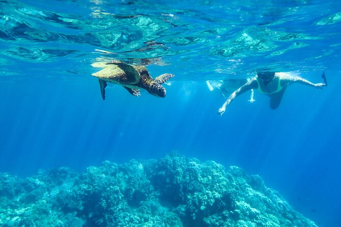 Private Big Island Snorkeling - Location and Meeting Point