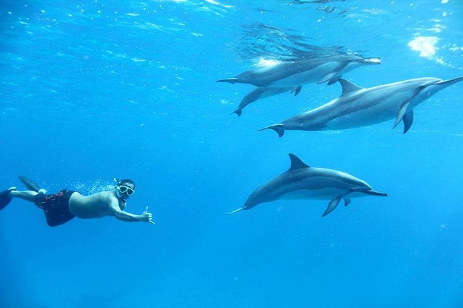 Private Boat Snorkeling Trip And Lunch Up To 10 Pax From Hurghada