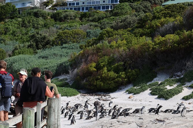 Private Cape of Good Hope Tour With Table Mountain Ticket Including Park Fees - Inclusions