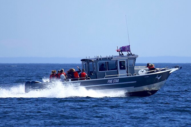 Private Charter - Marine Adventure and Whale Watching
