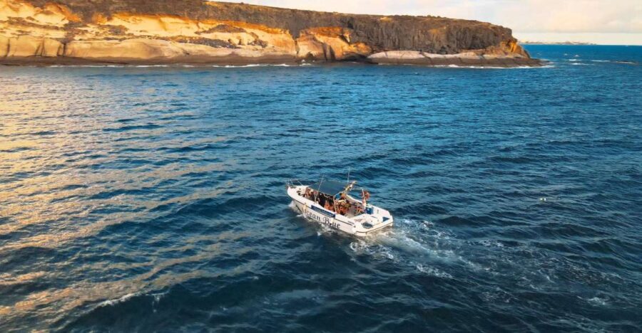 Private Charter Private Charter to See the Whales - 2 Hours