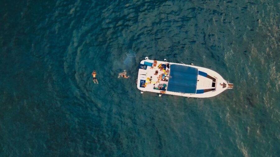 Private Charter Private Charter to See the Whales - 8 Hours