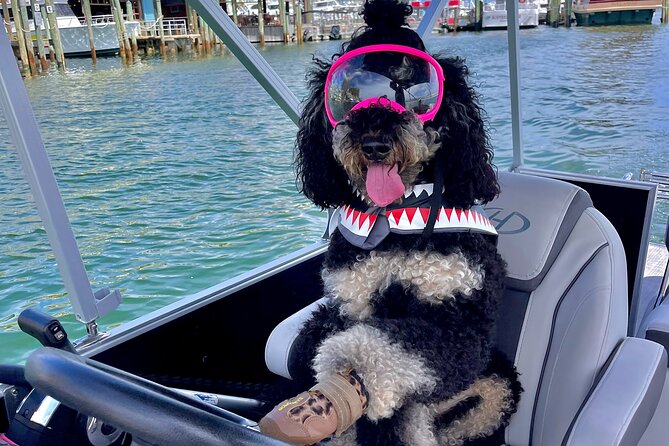 Private Chartered Luxury Pontoon Boat in Destin-Up to 6 Guests