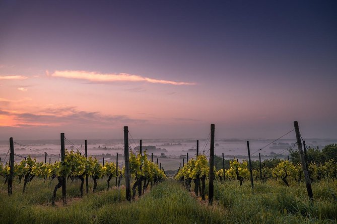 Private Custom-Made Niagara Falls Wine, Beer, and Spirits Tour