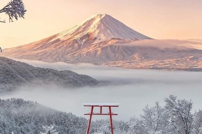 Private Day Tour in Mount Fuji From Tokyo
