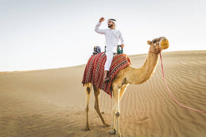 Private Desert Safari Tour in Dubai - Tour Overview