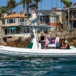 private-dolphin-and-whale-watching-tour-in-newport-beach-overview-of-the-tour