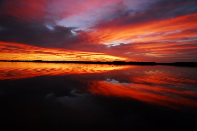 private-everglades-national-park-photography-birding-and-wildlife-safari-customizable-boat-tour