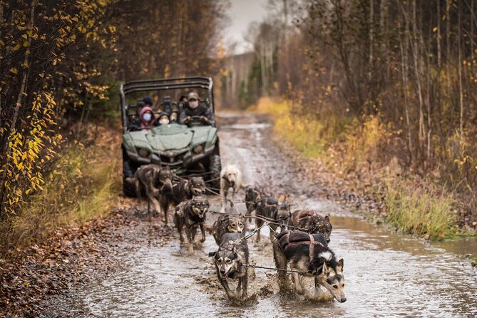 Private Fall Foliage Mushing Cart Ride in Fairbanks - Tour Overview