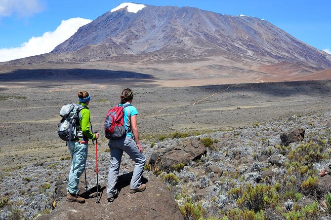 Private Full Day Hiking Experience to Marangu Route