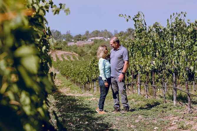 private-full-day-luxury-transportation-from-sonoma-tour-details