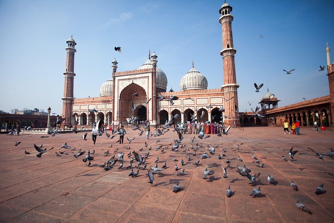 Private Full Day Old and New Delhi City Tour - Tour Overview