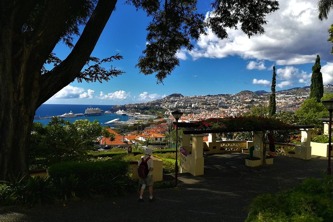 Private Funchal City Tour by Tukxi - Tour Overview